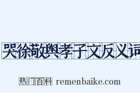 哭徐敬舆孝子文反义词是什么意思的图片